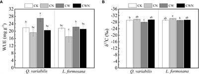 Long-term water use efficiency and non-structural carbohydrates of dominant tree species in response to nitrogen and water additions in a warm temperate forest